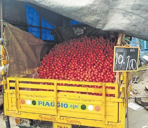 Tomatoes being sold for `10 per kg in Tiruppur on Monday | Express