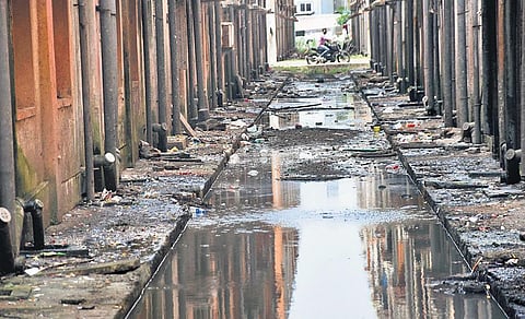 Sewage leak between buildings at Kannagi Nagar. It has become a breeding ground for mosquitoes | Ashwin Prasath