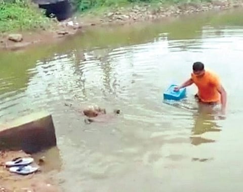 The stolen ballot box being recovered from the pond in Jajpur | Express