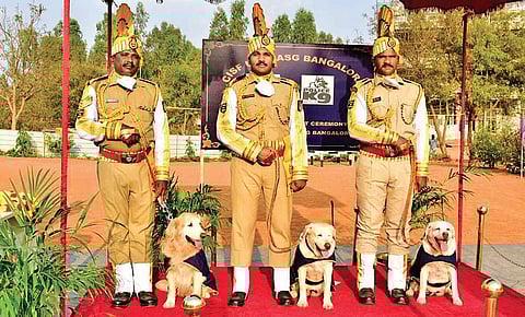 Golden retriever Mamo and labradors Pinky and Niru at their farewell on Friday