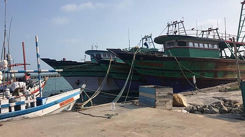 The seized boat from Akkaraipettai (third trawler from the right) has been added to the fleet of seized Indian vessels in Myliddy fishing harbour near Jaffna on Tuesday. (Photo | EPS)