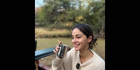Ananya Panday(Photo | Instagram)
