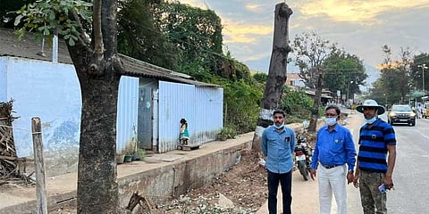 Highways dept had identified 48 trees to be felled for widening the Siruvani Road, a survey revealed that 30 trees need not be cut. (Photo | Express)