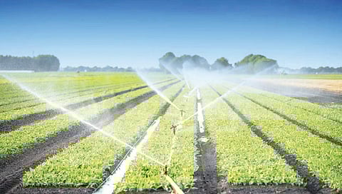 Plans to retrieve Nanguneri SEZ land hit roadblock