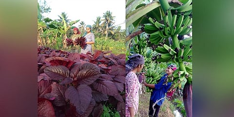 Sivapriya J S and Haripriya J S