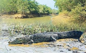 Image for representational purpose only (File Photo)