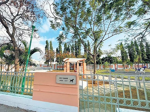 A pet park to please them all