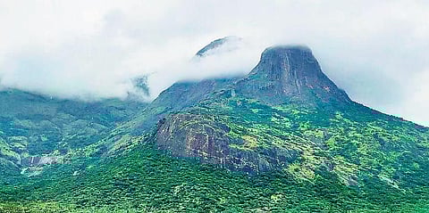 A view of the site proposed for the INO project in Theni district | Express