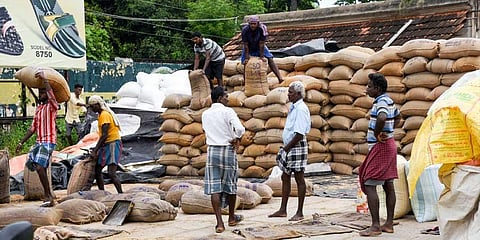 Paddy kept ready for selling to direct purchase centres at Lalgudi near Tiruchy | MK Ashok Kumar