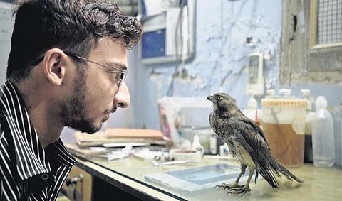 A still from 'All That Breathes' by Shaunak Sen.