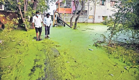 Residents of Gandhi Road at Chinnasekkadu seek clearance of sewage-mixed floodwater in their locality | P Jawahar