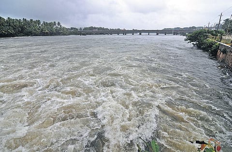 Image used for representational purposes only.