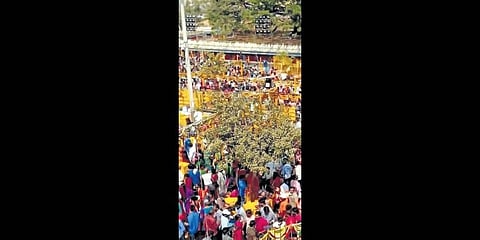 Devotees coming in for the festival at Medaram village