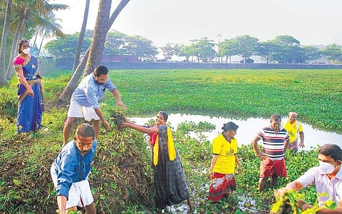 Cleaning works of backwater in progress at Vengannoor