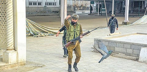 Members of Special Operations Group of J&K during a gunfight in Srinagar. (Photo | PTI)