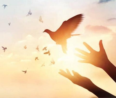 Image used for representational purposes