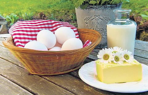 Dairy-rich food is good for bone health (Representational image)