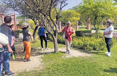 Kavita Prakash (in pink) and the walk participants explore various species of trees at the city's Sunder Nurserys explore various species of trees at the city’s Sunder Nursery. (Photo| EPS)