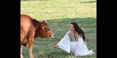 Supermodel Bella Hadid(Photo |Instagram)
