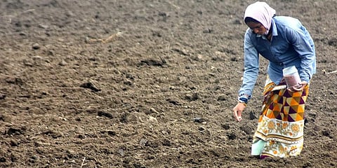 For representational purposes (Photo | EPS)