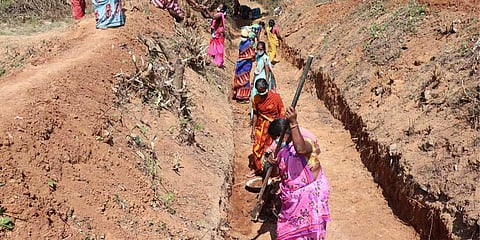 Women work in the field employed under the MGNREGA scheme in Kaniyambadi block in Vellore on Tuesday. (Photo | S Dinesh)