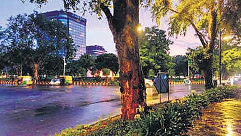 The famous Windsor Place roundabout near Hotel Le Méridien in New Delhi
