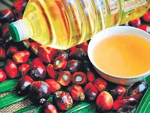 Palm oil (Representational Image)