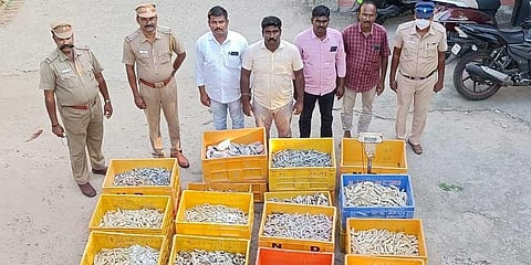 The coastal security group team with the seized contraband of protected species | Express