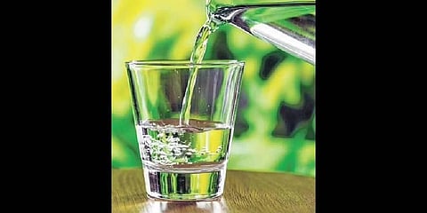 We Kidney You Not; awareness about kidney health