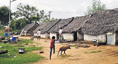 A view of a Irular tribal hamlet . (Photo | Debadatta Mallick, EPS)
