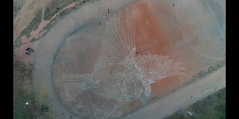 Puducherry youth made sparrow figure using 400 kilograms of grains