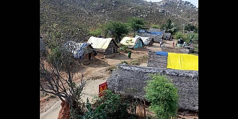 Irular communities living near Vellakulam village in Arcot Taluk | Express