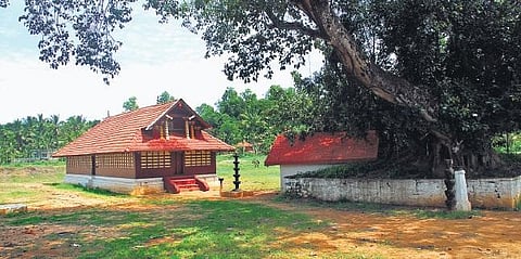 A festival of togetherness