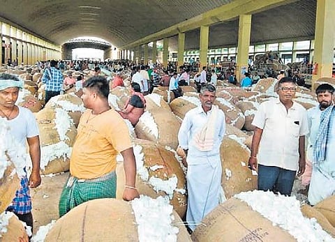 The official said the Adoni market had traded 4,000 quintals of cotton on an average daily during the three months from November last.
