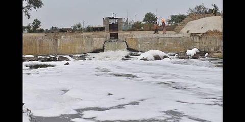 Fish swim back to Tiruppur's Noyyal river after water quality improves
