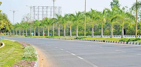 A total of 153 varieties of saplings are planted along the road to the temple