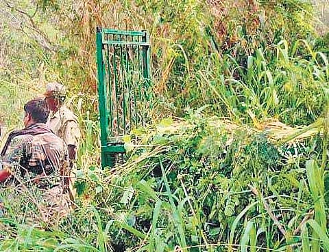 Forest officials and Railway Protection Force personnel at work to nab the leopard. ( Photo | EPS)