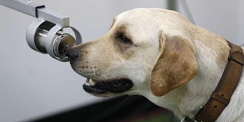 Image for representational purpose only. (File Photo)