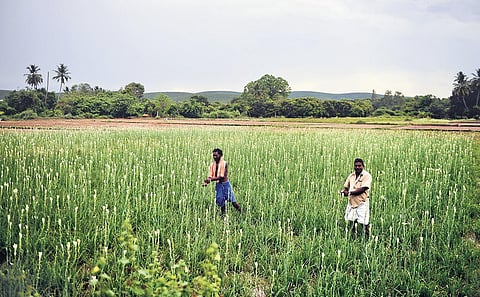 Image for representational purpose only. (File Photo)