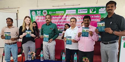 The pilot project to tackle fall armyworm attack on maize crops was launched in Pudukkottai last week | Express