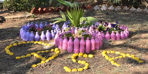 The Eco Mitra Park at Delhi's Sarita Vihar