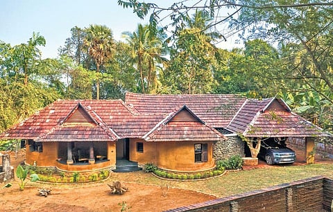 Reduce, Reuse, Revive