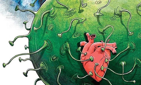 Representational Image (Express Illustration)