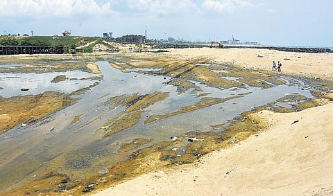 NGT asks TN to form panel to stop sand mining in Cooum river
