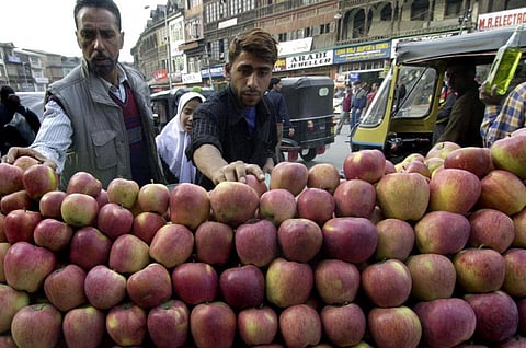 Kashmir Fruit Growers Dealers Union chairman Bashir Ahmad Bashir said the horticulture would be impacted by the dry weather conditions and deficient rainfall. (File | AFP)