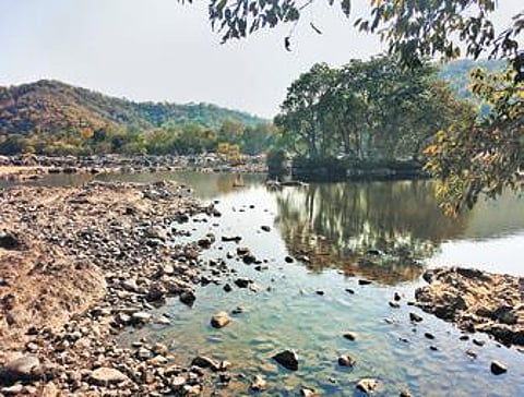 Microplastics in Cauvery affecting fish: IISc study