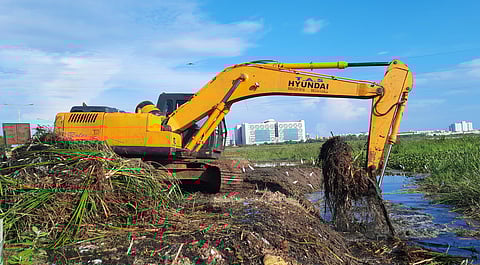 (Photo | Ashwin Prasath, EPS)