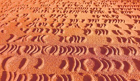 ‘Valley Structures’ by Gunjan Kumar