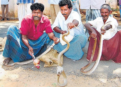 File photo of snake catchers | Express