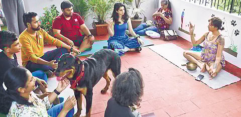 The therapy session in progress at The Collar Club |shriram bn